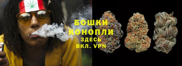 дурь Бородино