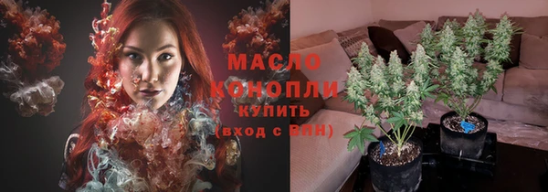 дурь Бородино