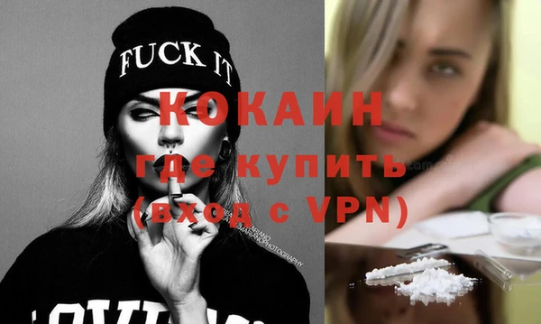 гидра Богородицк